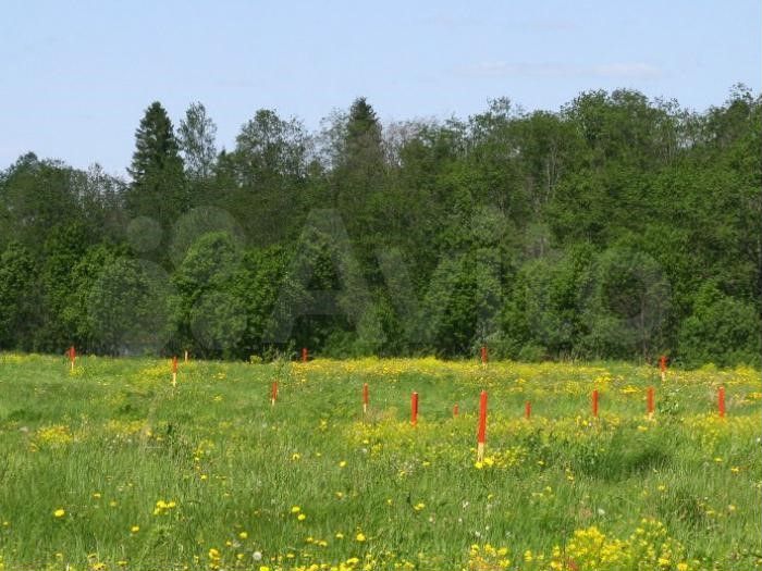 Участок 37,95 га (ИЖС)