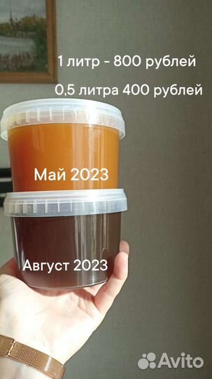 Мёд разнотравье с собственной пасеки, мёд в сотах