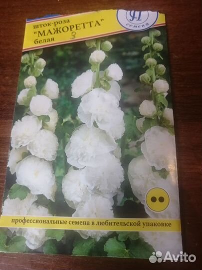 Шток-роза (мальва)