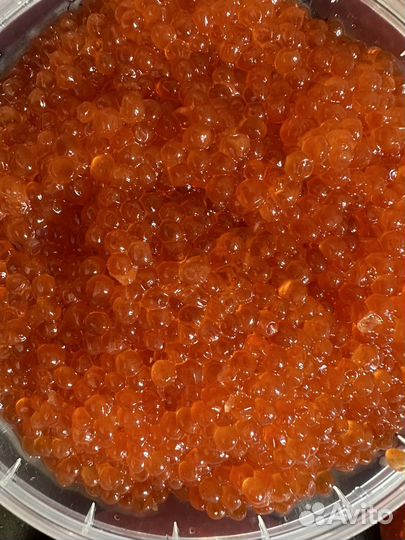 Икра горбуши