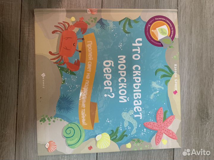 Кэррон Браун «что скрывает морской берег»