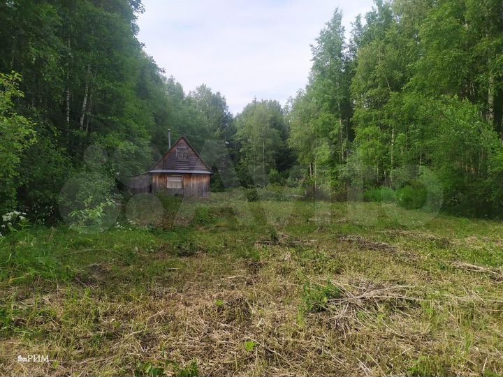 Участок 11 сот. (СНТ, ДНП)