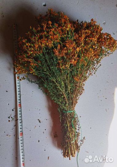 Лечебные травы