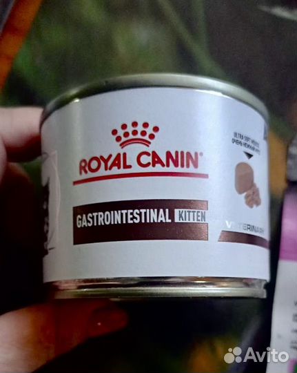 Влажный корм Royal Canin Gastrointestinal Kitten