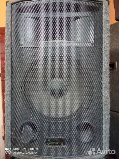 Акустические колонки пасивные EVM QS 153