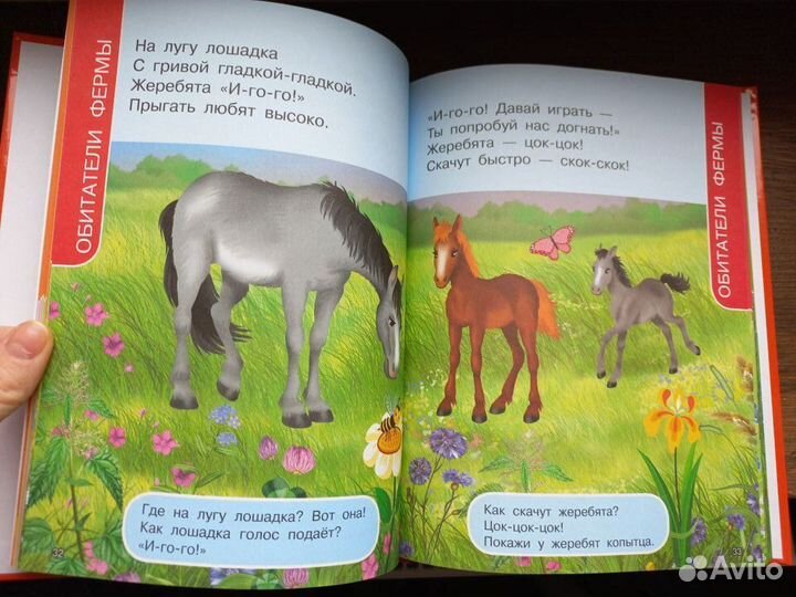 Первая книга о животных для детей