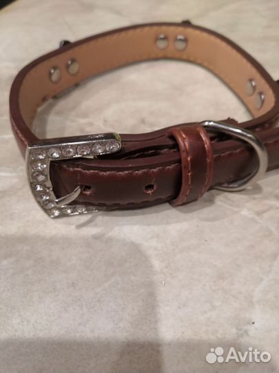 Ошейник для собак