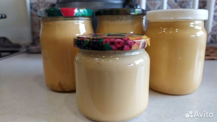 Пыльца сосны крымской