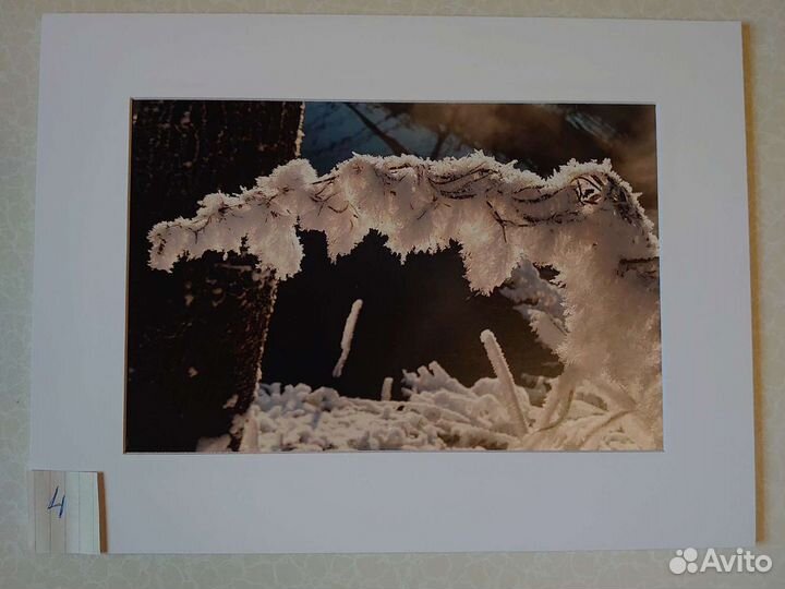 Фото пейзаж