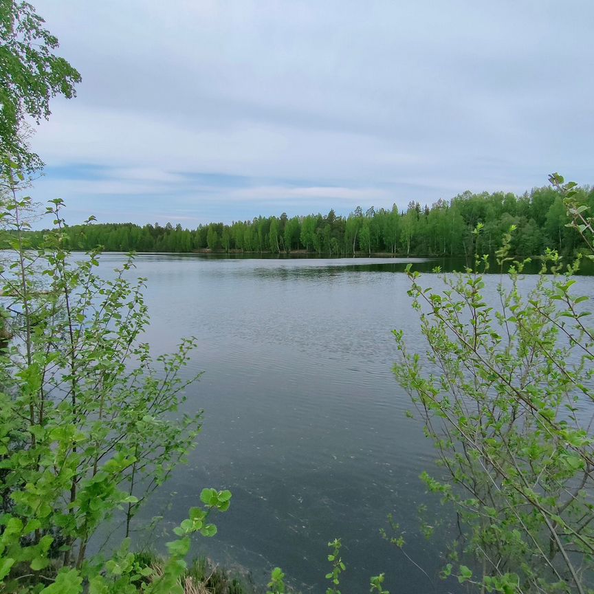 Квартира 1-комн. 27.2 м² в Суда — фото 14 из 21