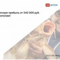 Агентство по рыбоводству в городе Сан-Марино, Аккуавива