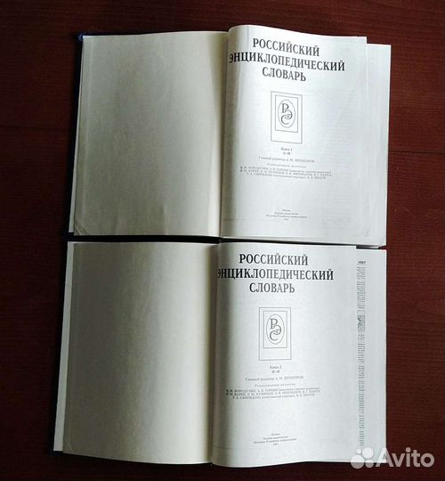 Российский энциклопедический словарь (2 тома)