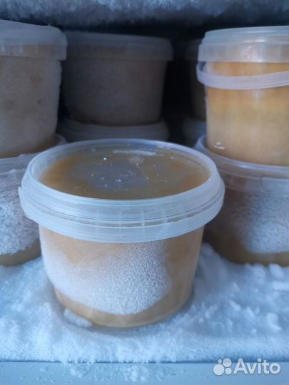 Трутневый гомогенат