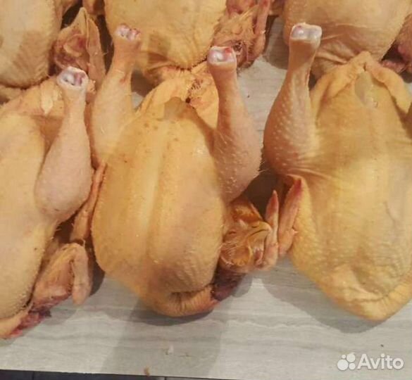 Цыплята-корнишоны, бройлер, курочка суповая мясо