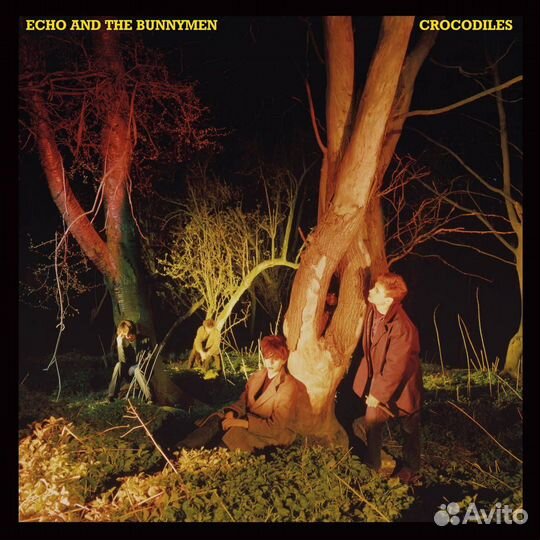 Виниловая пластинка Echo & The Bunnymen - Crocodil