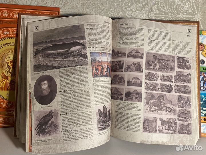 Энциклопедический словарь брокгауз эфрон