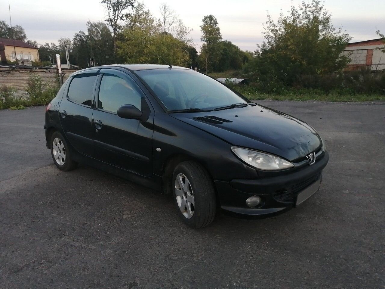 Peugeot 206: фото владельца