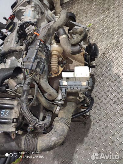 Двигатель kkda kkdb 1.8 дизель Форд Фокус 2