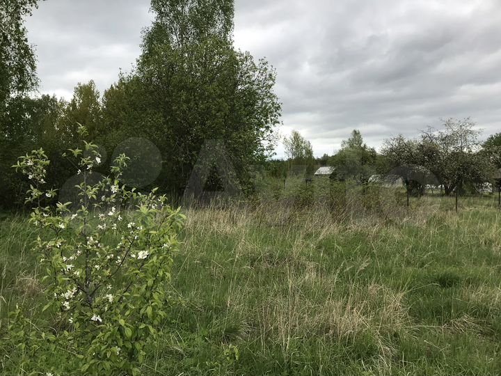 Участок 30 сот. (ИЖС)