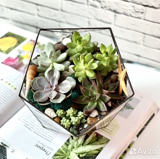 Флорариум «Икосаэдр» с черным покрытием