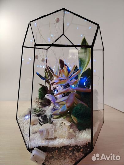 Флорариум 