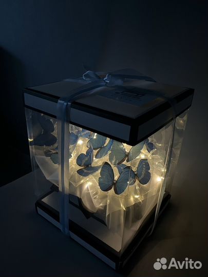 Аквариум с бабочками