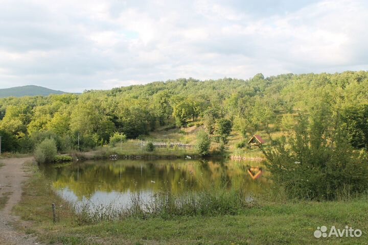 Рыбалка и отдых