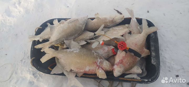 Снасть Комбайн (спускник)