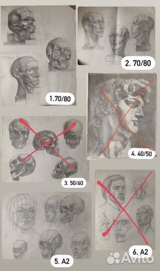 Рисунки для студентов Череп,портрет,анатомия, руки