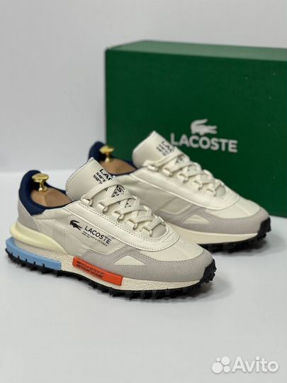 Кроссовки мужские Lacoste