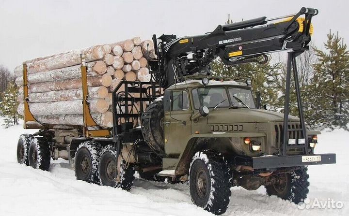 Водитель на лесовоз (урал, камаз) -вахта