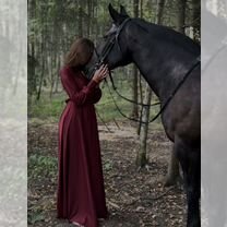 Конные прогулки, обучение верховой езде, Химки