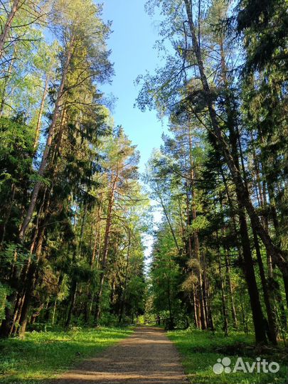 Прокат велосипедов