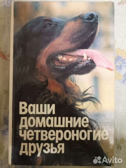 Книга о собаках и кошках