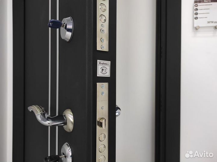 Входная дверь