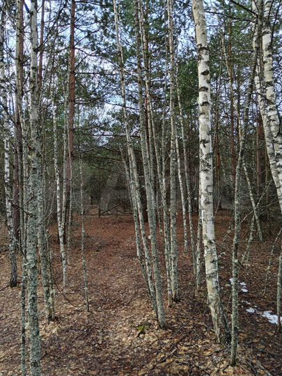 Участок 3,7 га (СНТ, ДНП)