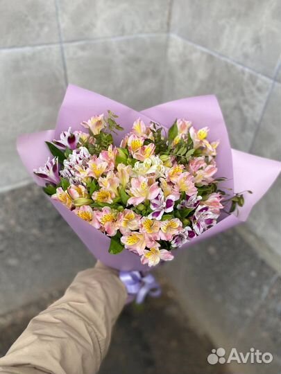 Альстромерия с доставкой 24ч