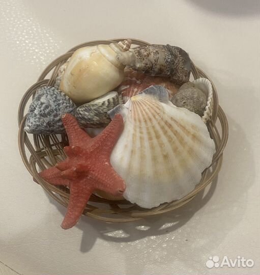 Ракушки и морская звезда в корзиночке