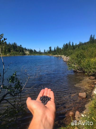 Поход на озеро Выпускников