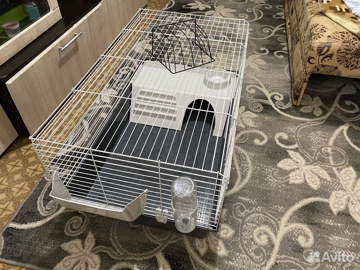 Клетка для грызунов очень большая