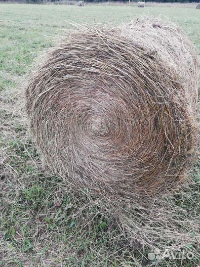 Пресс-подборщик Бежецксельмаш ПРП-1.6, 2000