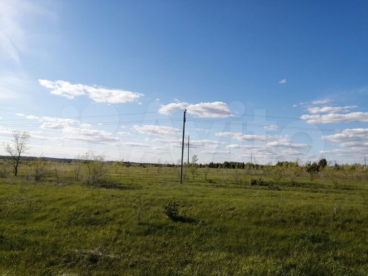 Участок 32 га (СНТ, ДНП)