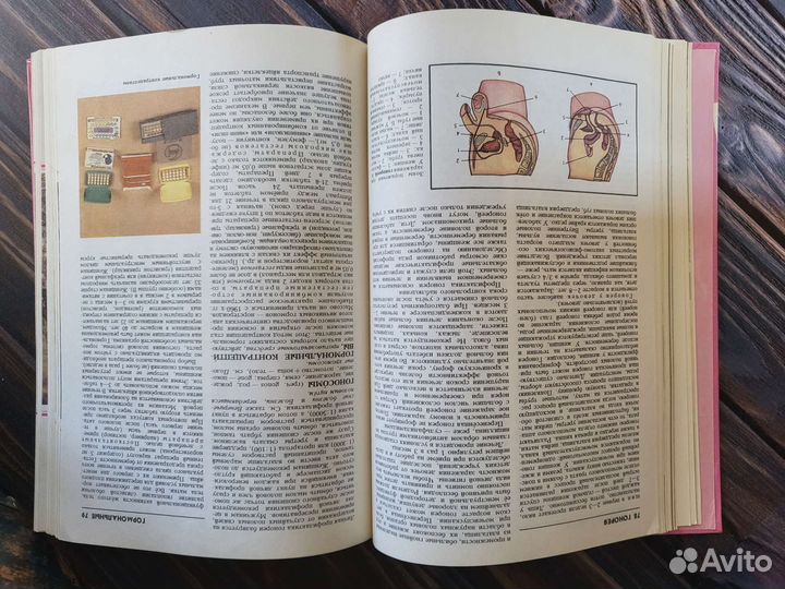 Справочник по сексологии и смежным областям