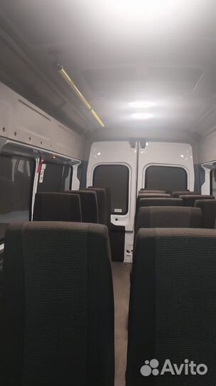 Городской автобус Ford Transit, 2020