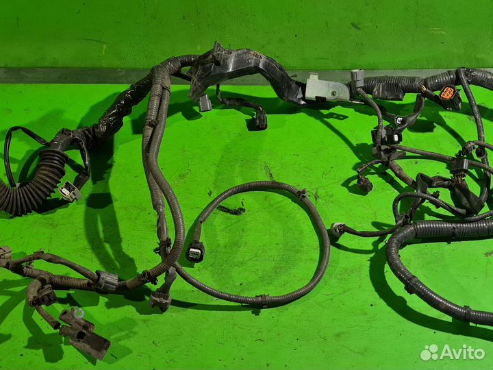 Проводка (коса) моторная Infiniti FX (S50) 2006 г