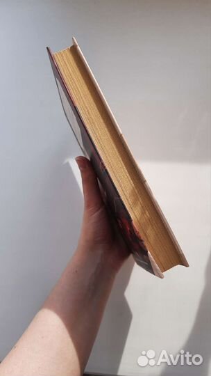 Книга Друзья и возлюбленные