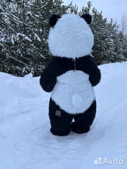 Ростовой костюм панды в наличии