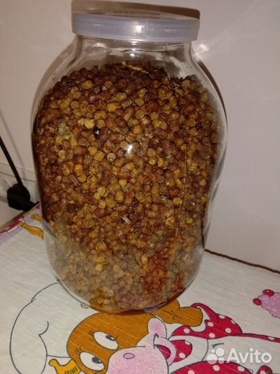 Перга пчелиная пыльца