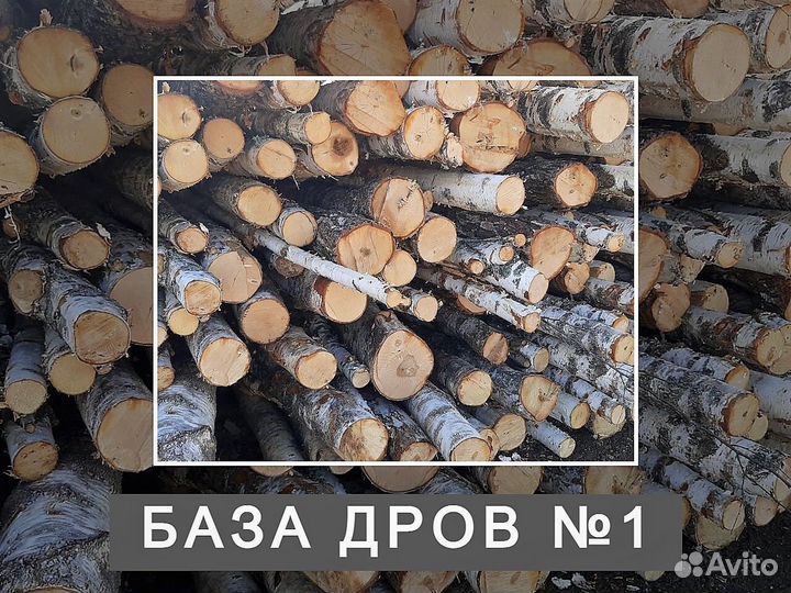 Дрова сухие