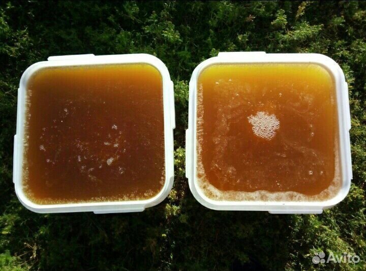 Цветочный мед оптом свежий